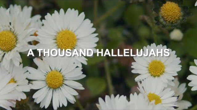 A Thousand Hallelujahs | Maranatha! Music (Lyric Video)