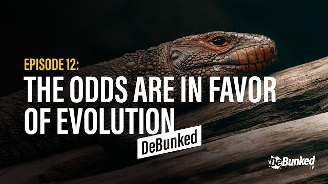 DeBunkedTV | Episode 12 | The Odds Are In Favor of Evolution