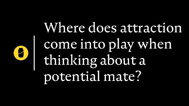 Where does attraction come into play when thinking about a potential mate?