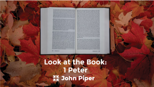 Look at the Book: 1 Peter | John Piper