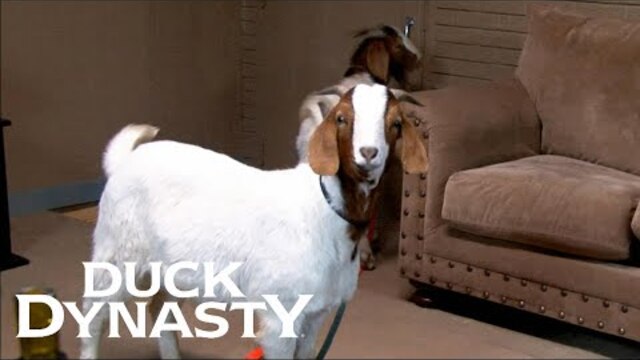 Duck Dynasty: Willie Buys a Pair of Goats