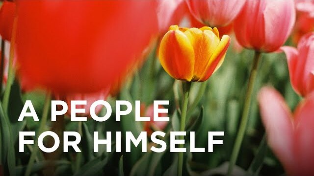 A People for Himself - 11/11/22
