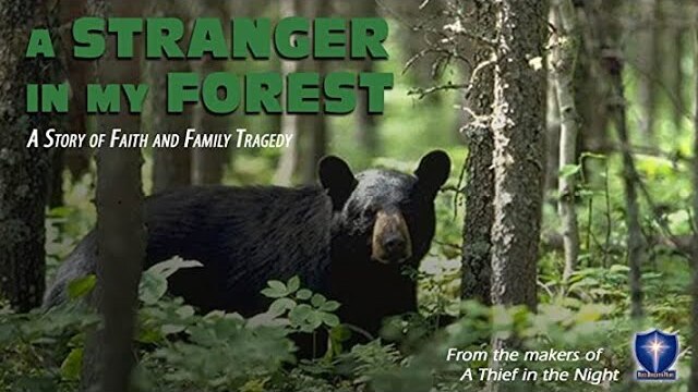 A Stranger In My Forest | Trailer | Eddie Moran | Trent Dolan | Susan Backlinie | Donald W. Thompson