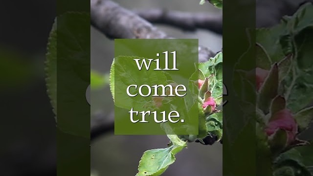 God's Words Will Come True - Pastor Rick’s Daily Hope