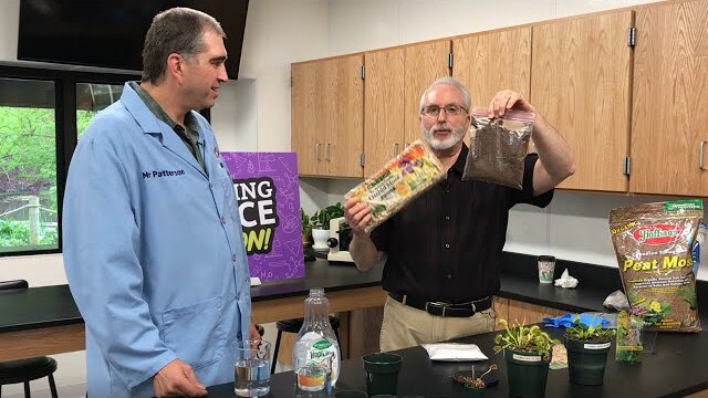 Hands On: Saving a Cursed Plant