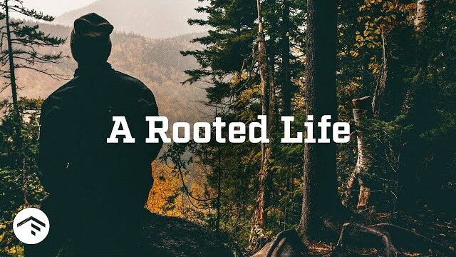 A Rooted Life (Replay)