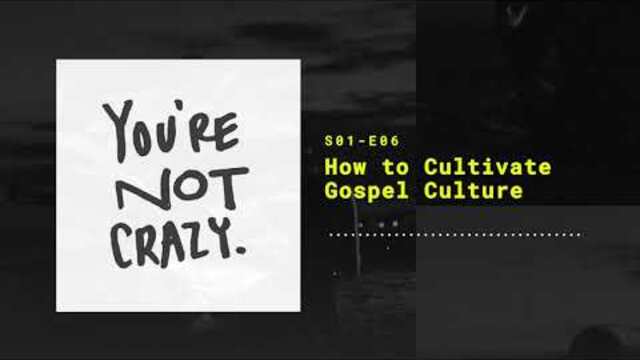 How to Cultivate Gospel Culture | You're Not Crazy Podcast