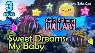 🟢 Grace’s Lullaby ♫ Sweet Dreams My Baby ★ Songs for Babies to Go to Sleep Bedtime Music