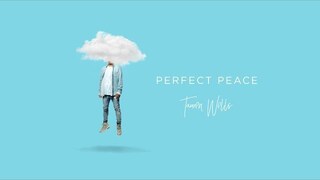 Tauren Wells - Perfect Peace (Visualizer)