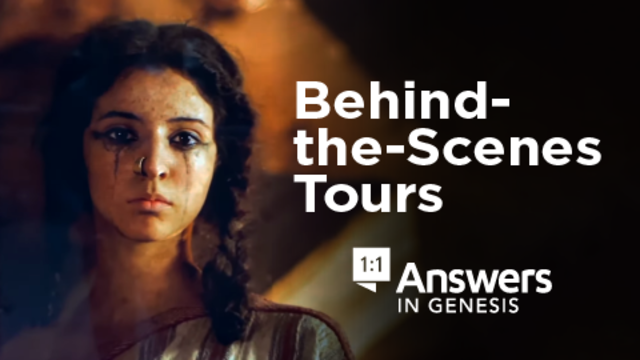Behind-the-Scenes Tours | Answers in Genesis