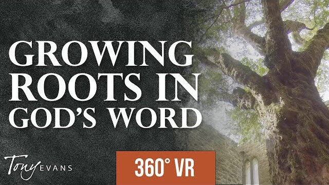 The Seed That Withstands Storms | A Dr. Tony Evans 360° Virtual Reality Experience