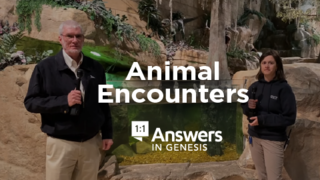 Animal Encounters | Answers in Genesis