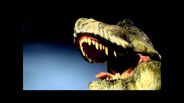 Buddy Davis' Amazing Adventures: I Dig Dinosaurs