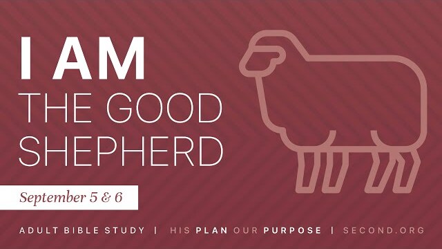 I Am The Good Shepherd | Sept 5/6