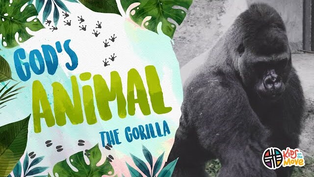 GOD'S ANIMAL - THE GORILLA | Kids on the Move