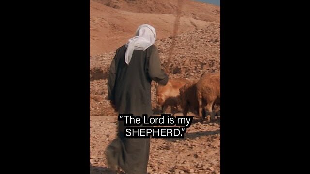 THE GOOD SHEPHERD!