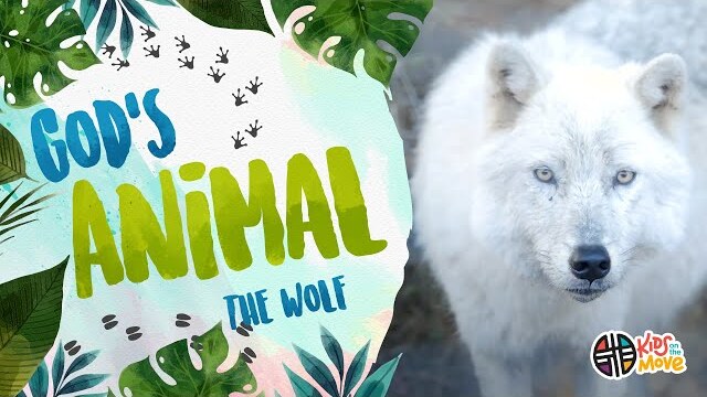 GOD'S ANIMAL - THE WOLF | Kids on the Move