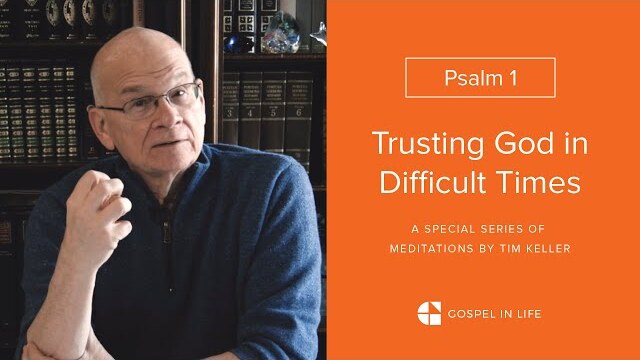 How to Become Evergreen - Psalm 1 Meditation by Tim Keller