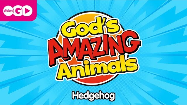 God's Amazing Animals | Hedgehog
