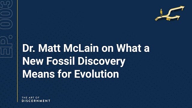 The Art of Discernment - Ep. 3: Dr. Matt McLain on What a New Fossil Discovery Means for Evolution