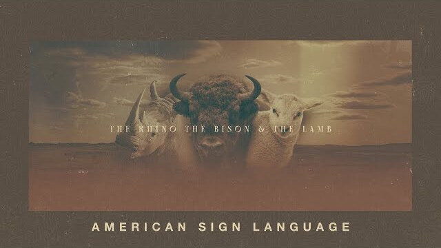 ASL Sign Language Interpretation // The Rhino, the Bison, and the Lamb // Week 2 - The Lamb