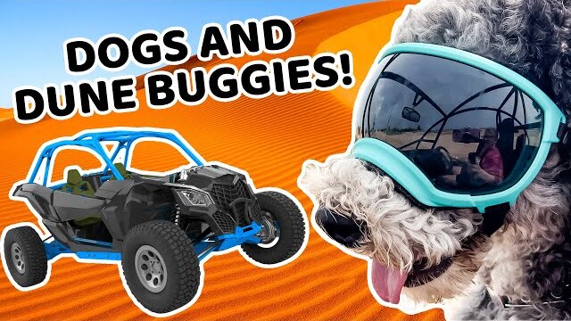 Doggie Roadtrip!! | We Can Give Our Worries to God | Kids' Club Older