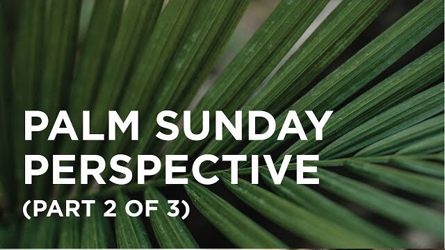 Palm Sunday Perspective (Part 2 of 3) - 03/29/23