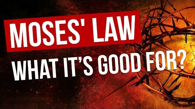 What was the purpose of the Torah (Moses' Law)?