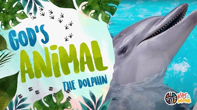GOD'S ANIMAL - THE DOLPHIN | Kids on the Move