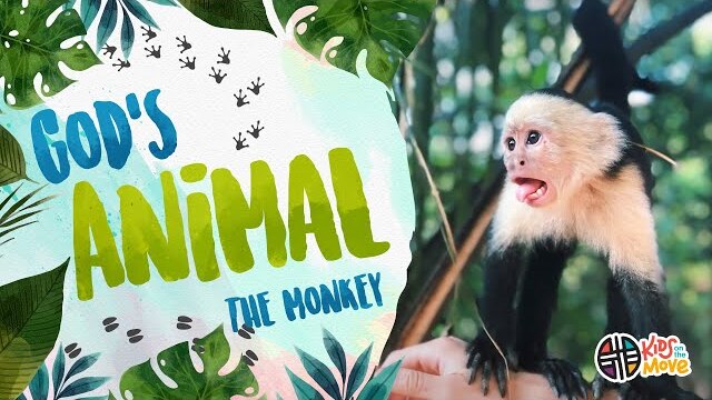 GOD'S ANIMAL - THE MONKEY | Kids on the Move