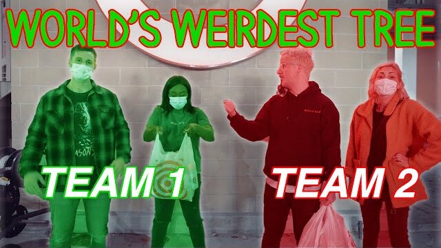 We Made The WORLD'S WEIRDEST TREE??!! // Vlog + Competition