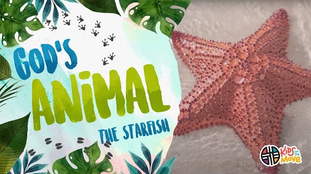 GOD'S ANIMAL - THE STARFISH | Kids on the Move