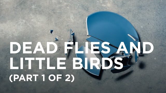 Dead Flies and Little Birds (Part 1 of 2) — 07/22/2022