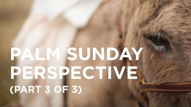 Palm Sunday Perspective (Part 3 of 3) - 03/30/23