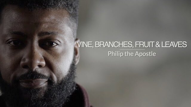 Eyewitness Bible | Three Gospels | Episode 9 | Vine, Branches, Fruit and Leaves