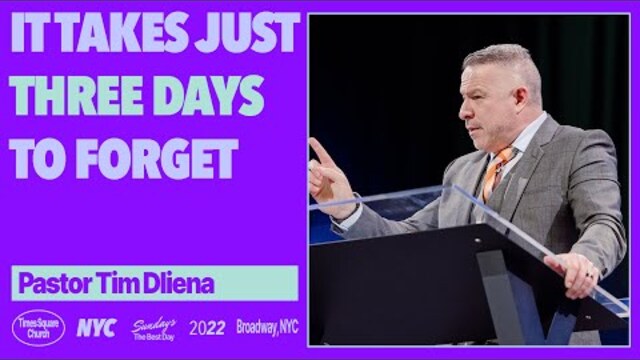 It Takes Just Three Days To Forget | Tim Dilena