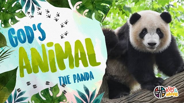 GOD'S ANIMAL - THE PANDA | Kids on the Move