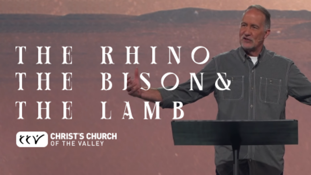 The Rhino, The Bison and The Lamb | Christ's Church of The Valley