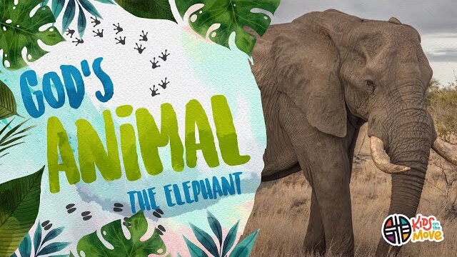 GOD'S ANIMAL - THE ELEPHANT | Kids on the Move