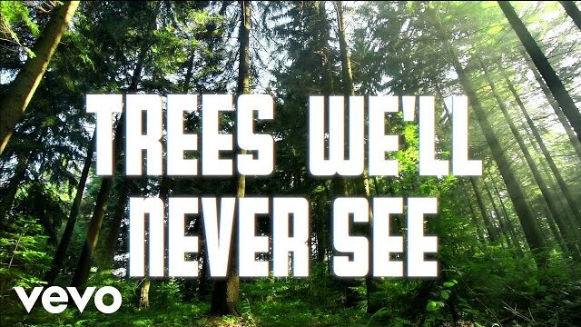 Amy Grant - Trees We'll Never See (Lyric Video)