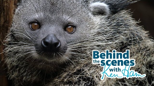 Meet the Binturong and Porcupines with Ken Ham & Leanne