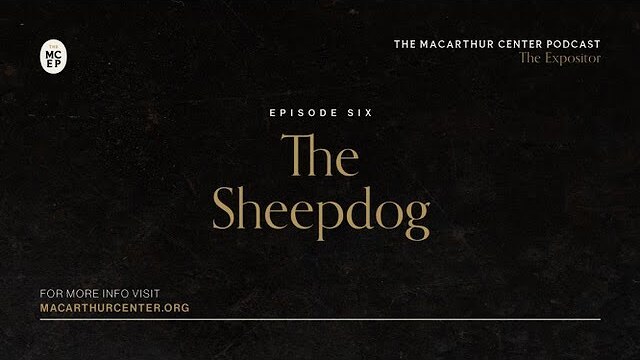 Episode 6: The Sheepdog