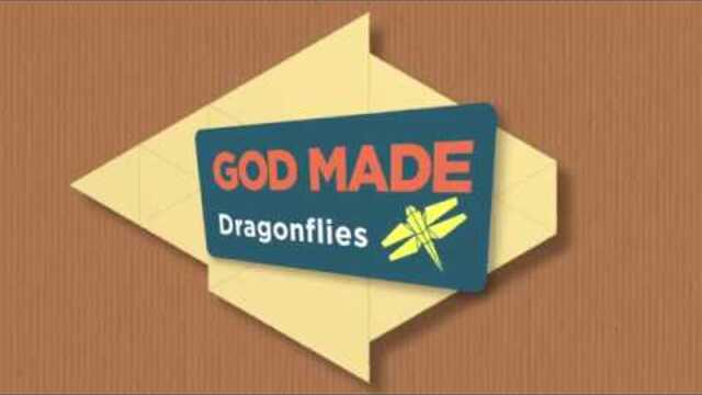 God Made: Dragonflies