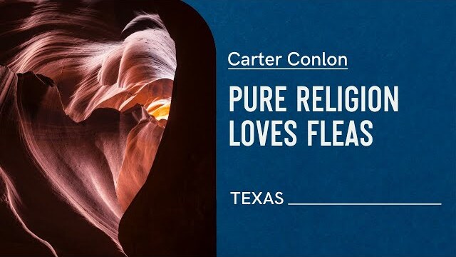 Pure Religion, Loves Fleas | Carter Conlon
