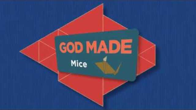 God Made: Mice