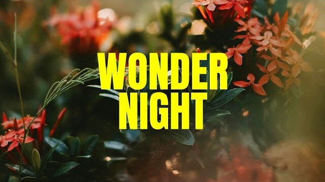 Bethel Church | Bethel Women's Ministry | Wonder Night with Heather Armstrong