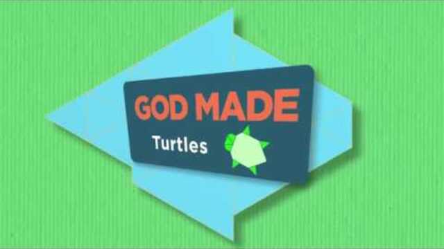 God Made: Turtles